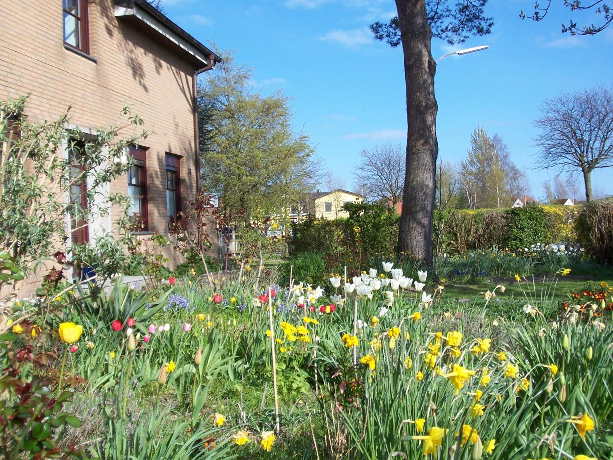 Villa Kronsteert Dahme  Eksteriør bilde